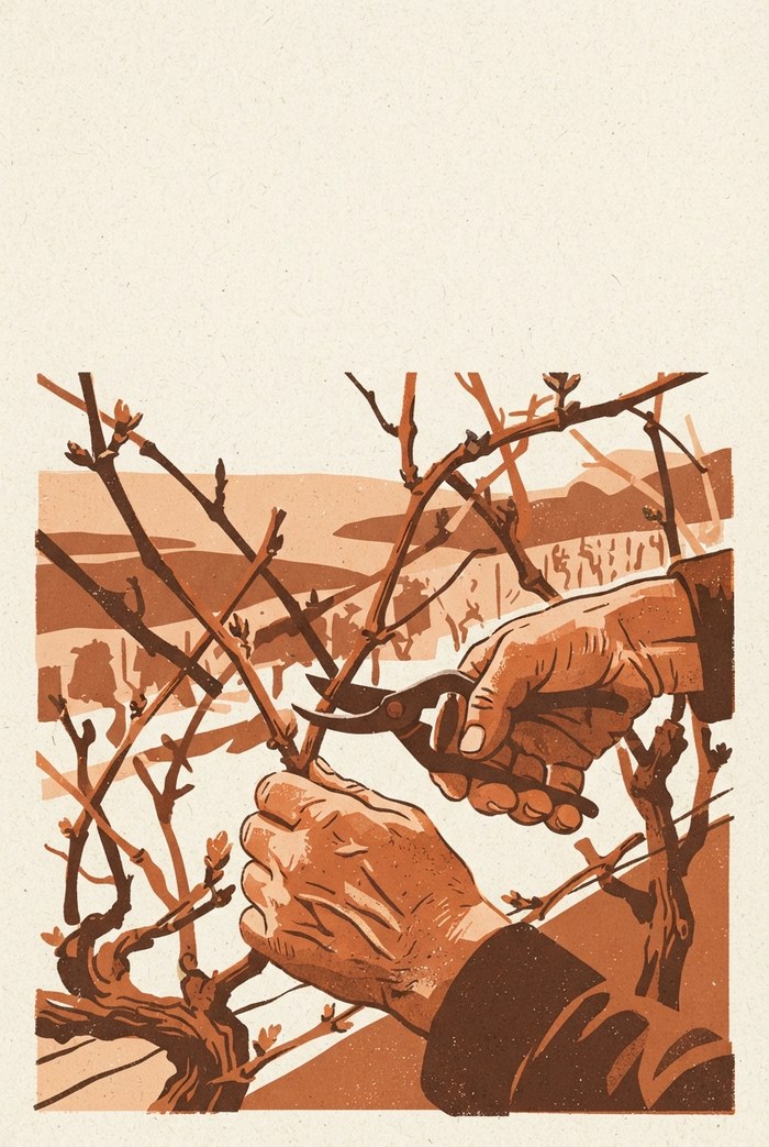 Couverture : Ce que les mains savent